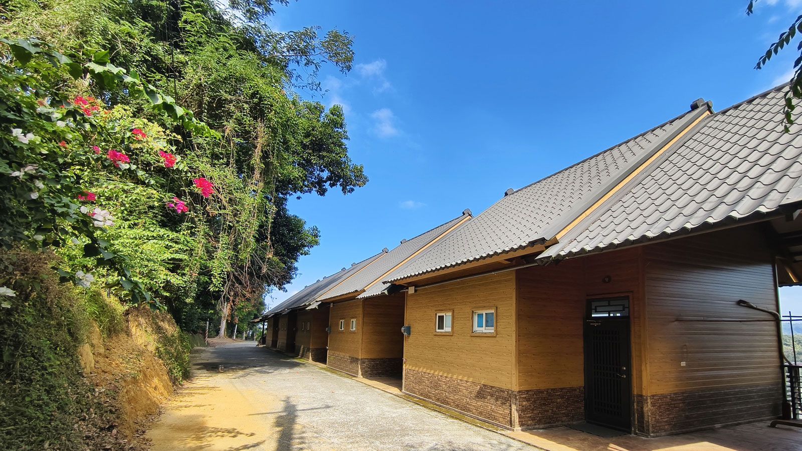 橄欖園森林度假民宿 圖片